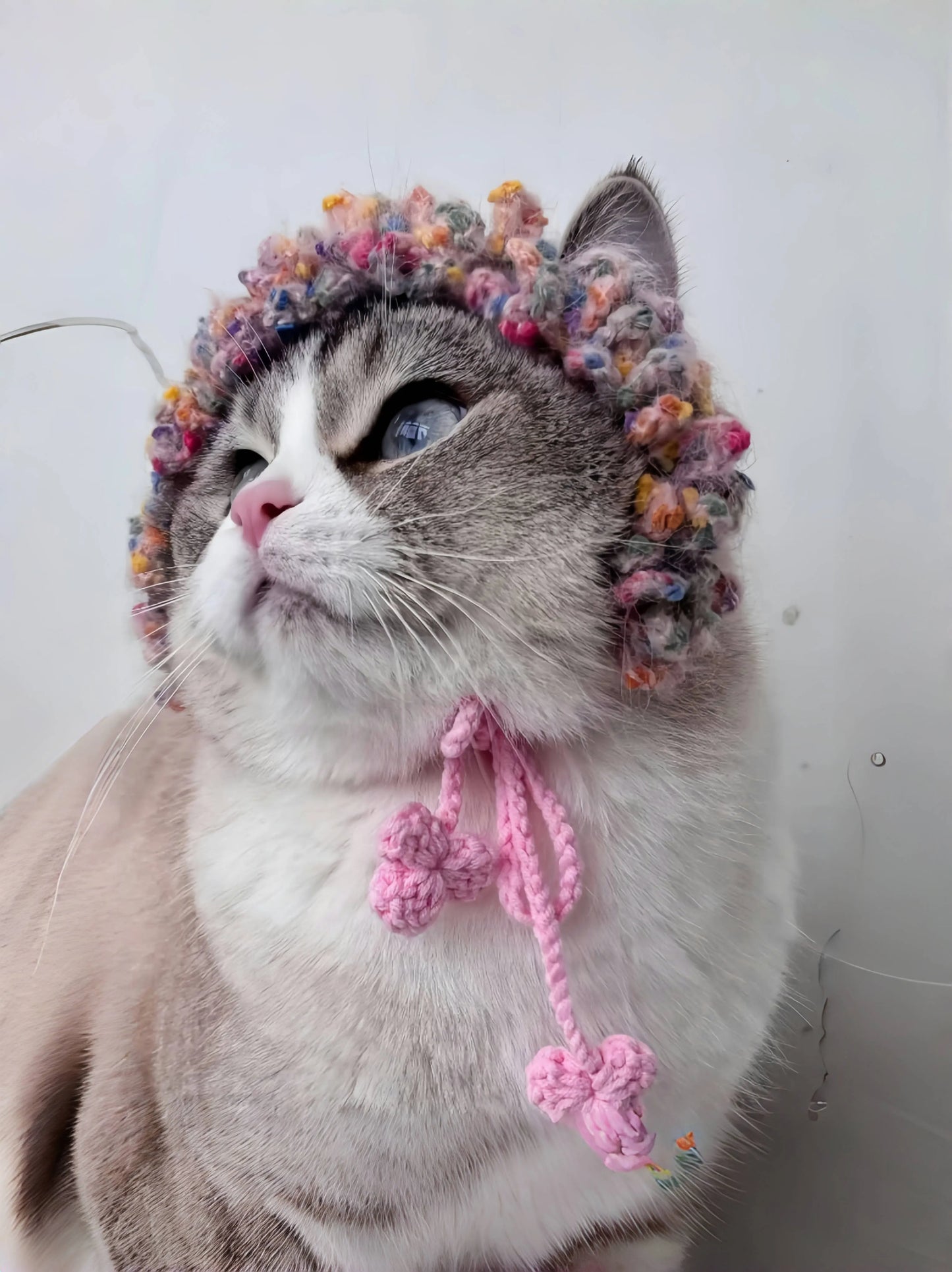 Cat wearing a colorful unique crochet headband for pets with pink ties and decorative pom poms