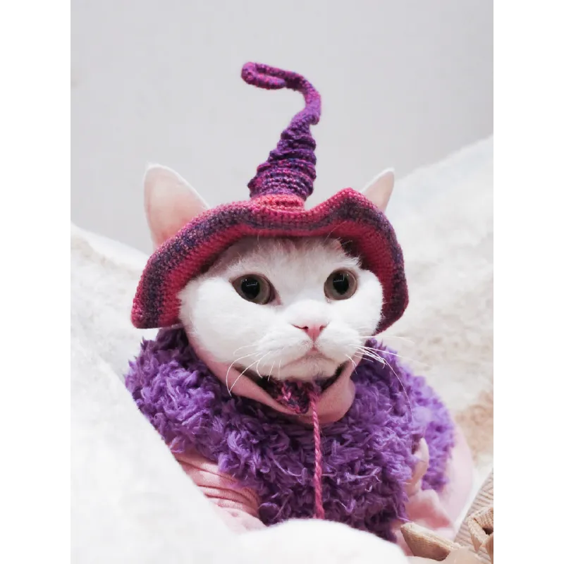 White cat wearing a purple crochet cat wizard hat pattern with a curled tip and matching textured scarf